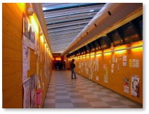 大学